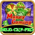 2021 t20 world cup Premium - Win Real PKR