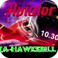 antigua hawksbill Plus v4.2.6