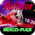 bingo Pro v3.6.7