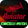 cricket pitch Ultimate Pro v4.4.7