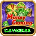 gavaskar VIP Edition v5.6.8