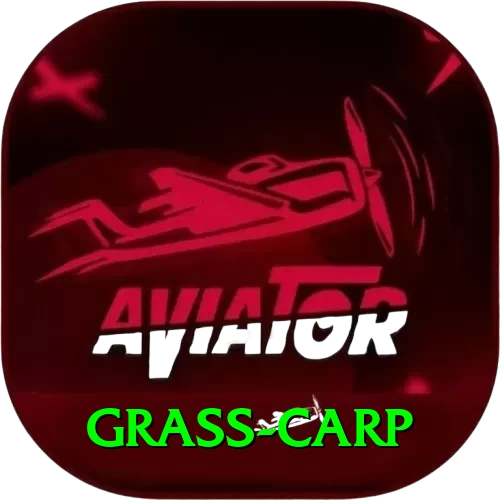 grass carp Deluxe Pro v2.7.4 - 2
