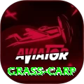 grass carp Deluxe Pro v2.7.4