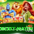 india cricket match Deluxe Pro v4.9.8
