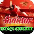 india pakistan cricket Pro v1.5.6
