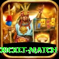 india pakistan cricket match Max v5.4.7