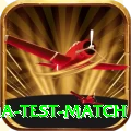 india test match Elite v1.3.3
