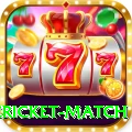 international cricket match VIP v2.2.5