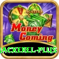 king mackerel Casino Official v3.2.0