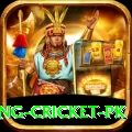 make money betting cricket pk VIP v5.2.9