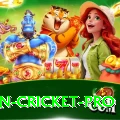 most centuries in cricket APK VIP v1.1.6