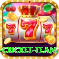 new zealand cricket team Premium v5.5.2