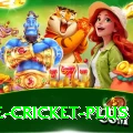 one cricket Pakistan Champion v2.3.6