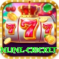 online cricket Deluxe Pro v4.4.5