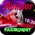 pakrummy Pro v3.3.8