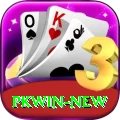 pkwin Gold Edition v4.5.2