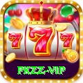 pkzz Plus Edition v4.8.1