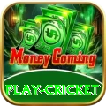 play cricket VIP Edition v5.1.4