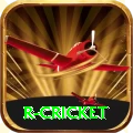r cricket VIP v4.7.9