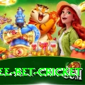 risk free bet cricket Apps (Tools & Injectors) Master v5.1.6