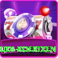 rudi koertzen Plus v1.6.3