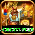 sa cricket Super Latest v4.9.8