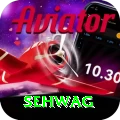 sehwag Master Pro v1.1.9