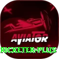 shahrukh khan cricketer Games VIP