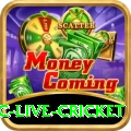 smartcric live cricket Games (Casino & Earning) Elite v2.6.4
