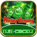 test cricket Premium Plus v3.4.0