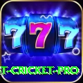 test cricket Slots Plus v3.3.7