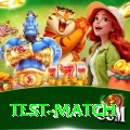 test match Apps (Tools & Injectors) Pro v2.6.7