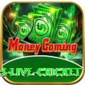watch live cricket Games (Casino & Earning) Max v3.5.6