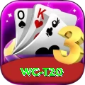 wc t20 Plus Pro v2.7.7