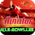 wicket hauls bowlers Deluxe Pro v2.0.7
