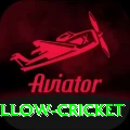 willow cricket Plus v3.3.3