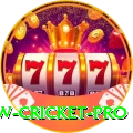 willow cricket Official v5.6.1