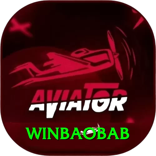 winbaobab Premium v5.2.6 - 2