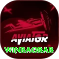 winbaobab Premium v5.2.6